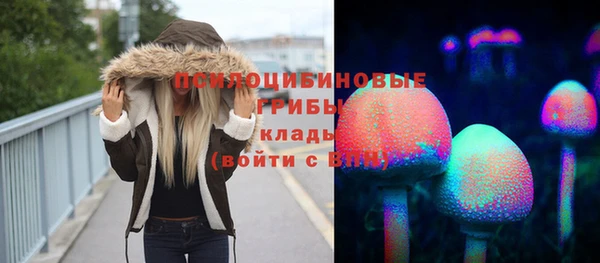 хмурый Армянск