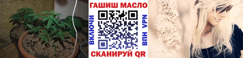 кракен зеркало  закладки  Аша  ТГК Wax 